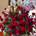 ARRANJO ESPECIAL
ORQUÍDEAS, ROSAS E LÍRIOS