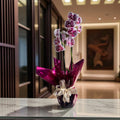 ORQUÍDEA NA BASE DE VIDRO
EMBRULHADA PARA PRESENTE