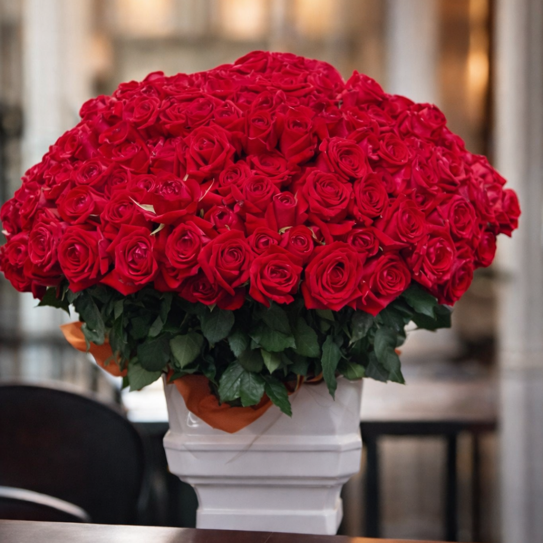ESPECIAL 500 ROSAS VERMELHAS