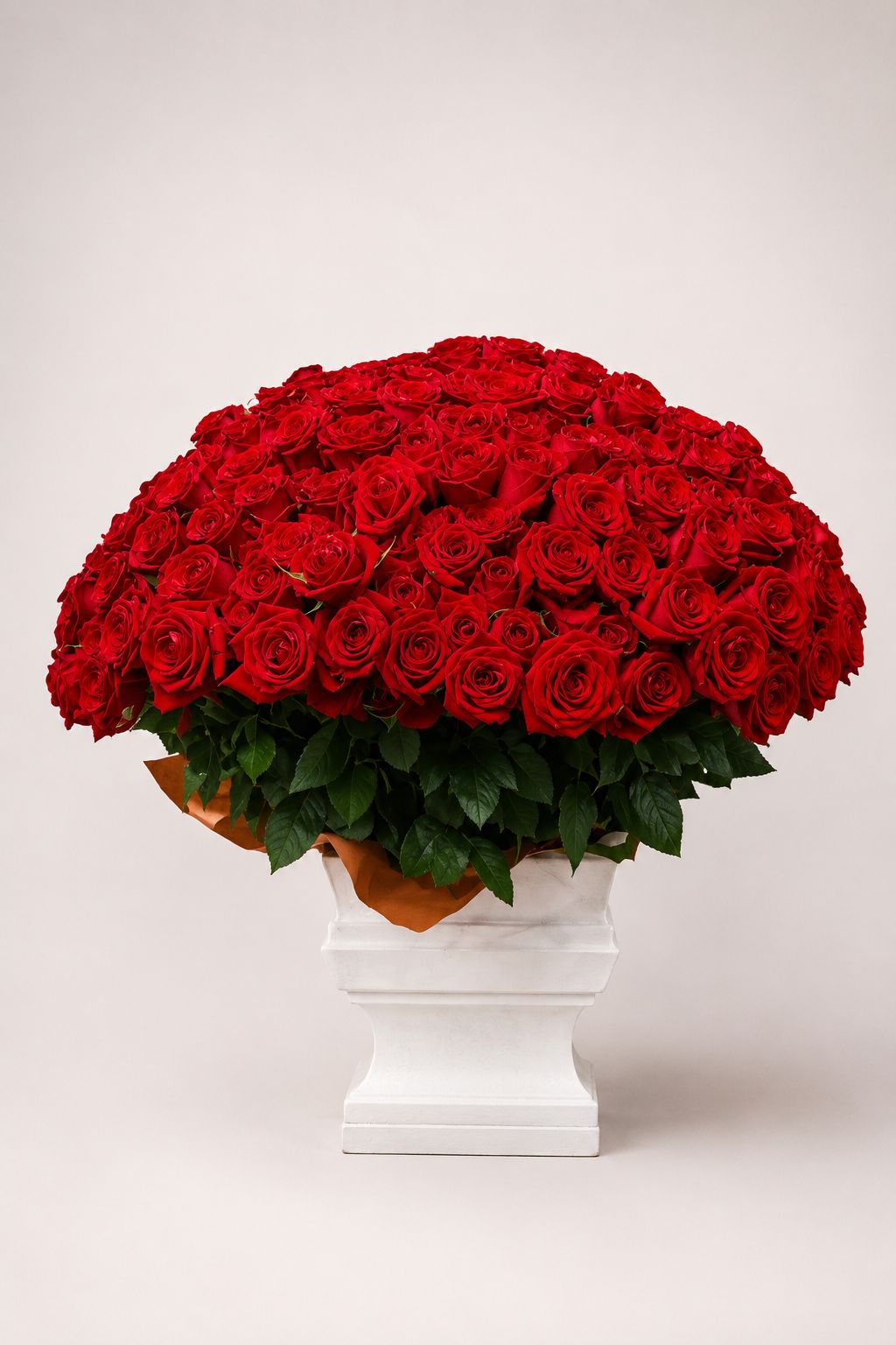 ESPECIAL 500 ROSAS VERMELHAS