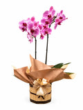 ORQUÍDEA N0 CACHEPOL DE MADEIRA