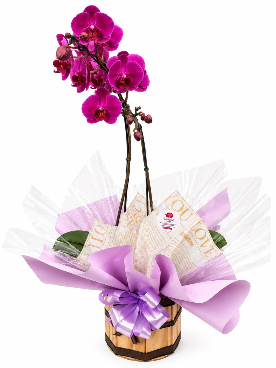 ORQUÍDEA N0 CACHEPOL DE MADEIRA
